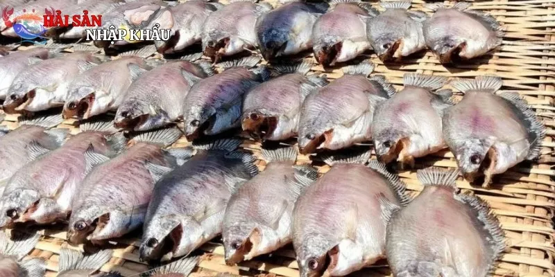 Hướng dẫn bảo quản và sử dụng cá sặc hiệu quả