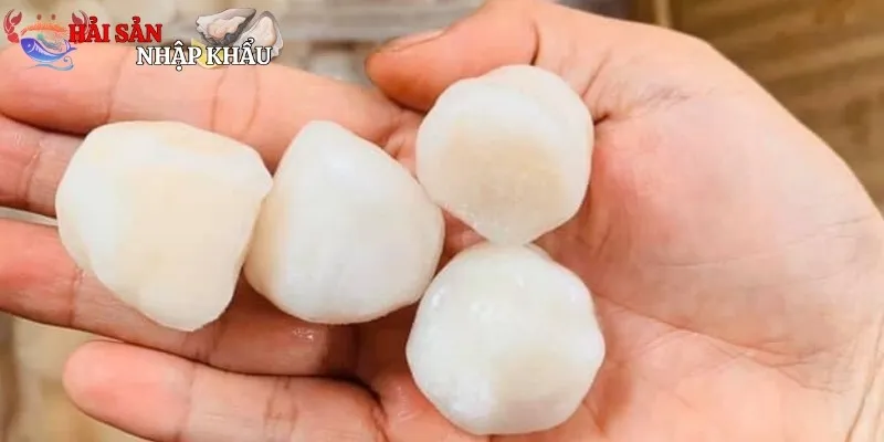 Tinh hoa của biển cả