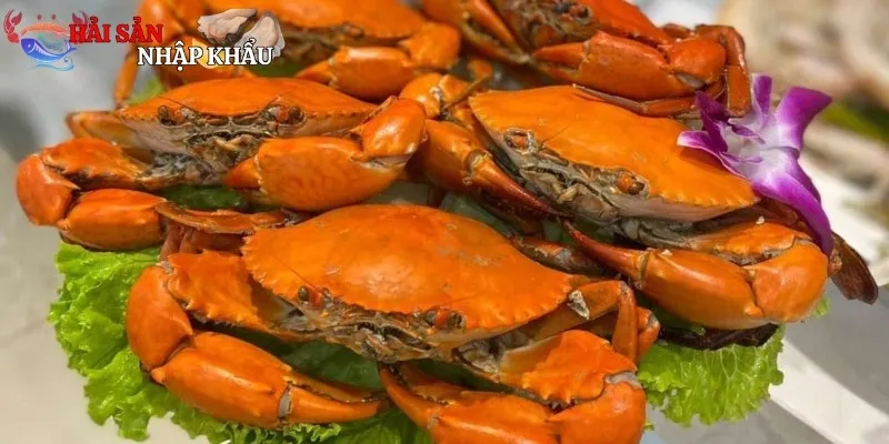 Giới thiệu về cua cà mau